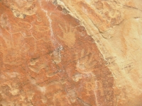 El Morro Petroglyphs